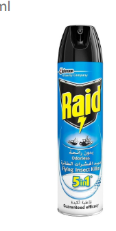 Raid 5in1 Odorless Flying Insect Killer Spray